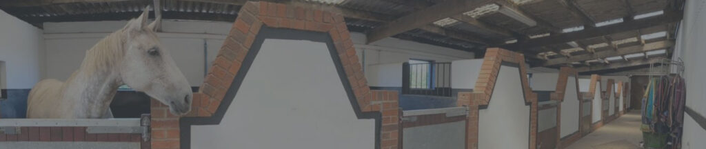 Pm Bannerdesign V4